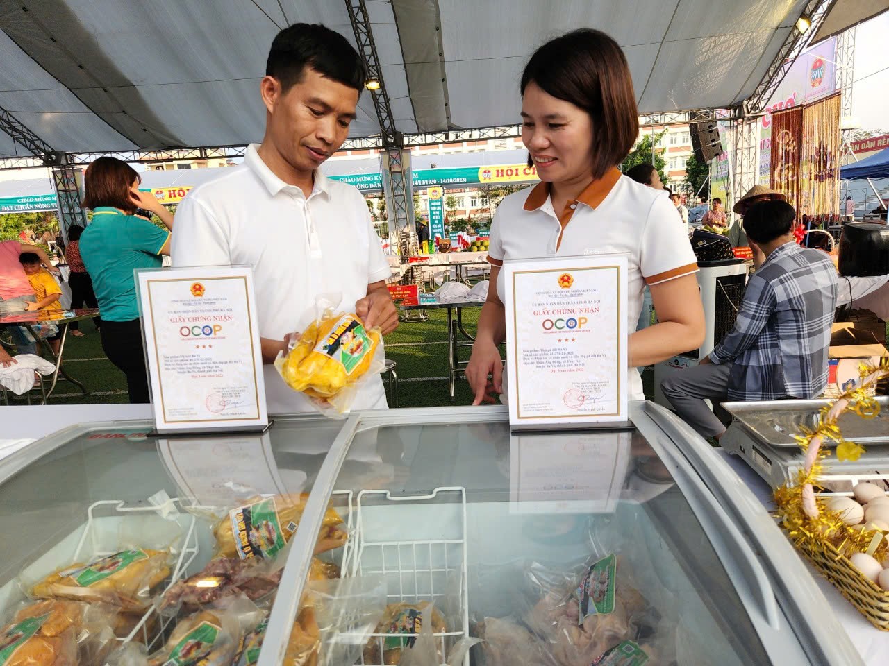 HTX Gà đồi Ba Vì