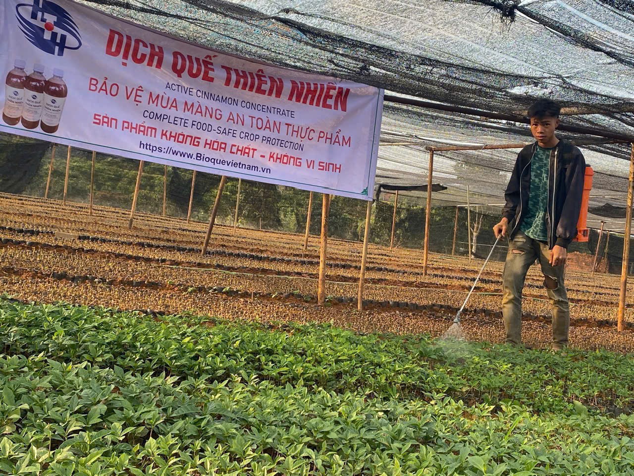 HTH Trường Phát - Ảnh 2